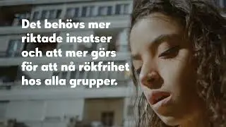 Kan samh&auml;llet bli r&ouml;kfritt?