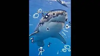 sorry i can't oost much 🎀 #shark #anime