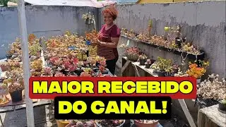 MAIS UMA VEZ DEUS NOS SURPREENDEU!FOMOS BUSCAR FORA DE SÃO PAULO+VAI MUDAR A CHÁCARA #recebidos 