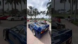 A Ferrari F40 like no other!