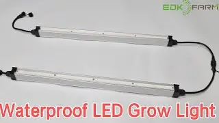 Full Cycle Greenhouse LED Grow Light EDK IP65 for Lettuce Vegetable