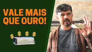 Reciclagem de catalisador: vale mais que OURO