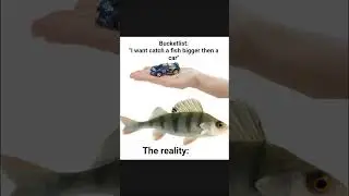 the sad reality of ur fishing bucketlist 😭🙏💔 #fish #perch #fishing #pike #bucketlist # thispmo