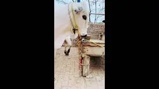 Dhani Bull Lover👉New Entry👉 Part 2 |Umair Cattle Farm| Cow Mandi 2024 Update@UmairCattleFarm143