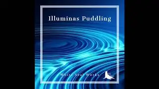 Illuminas Puddling