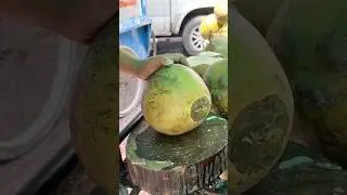 Super Easy Coconut Cutting Techniques #asmr