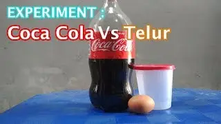 Eksperimen : Rendam Selama 24 Jam Telur dengan Coca Cola