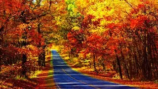 Autumn in New England Ambience Foliage