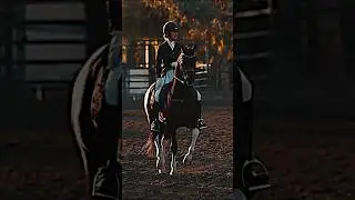 Mood dance 🍂 #horse #animals #sports #equestrian #dressage #edit #shorts #viral #tiktok #fyp