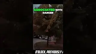 Proof Islam Can change anyone #muslim #respect #ummah #religion #islam #islamicvideo #oblock