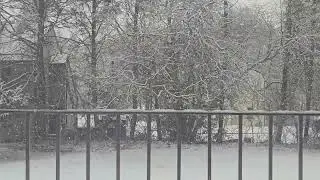 5 Hours of Falling Snow outside Window 1440p 60fps (No Music) Cozy Winter Ambiance for Study & Sleep
