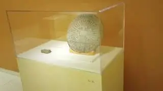 My Trip to the Smart Museum of the University of Chicago