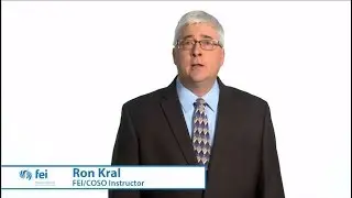 Internal Controls and the COSO Framework