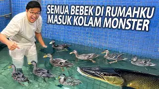 SEMUA BEBEK DI RUMAH MASUK KOLAM MONSTER! PERTAMAKALINYA BEBEK DISINI BISA RENANG! DIMAKAN IKANKAH?!