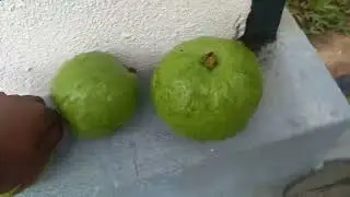 Ape gahe hedunu pera walin achcharu akak hadamu akema part 2 balanna 