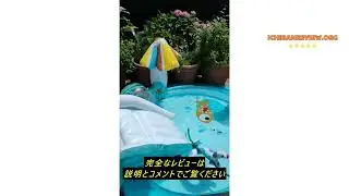 レビューINTEX 57165 Round Multi-Color Gator Play Center, 79.9 x 67.9 x 33.1 inches (201 x 170 x 84 cm)
