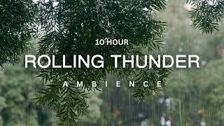 10 Hour ✨ Soothing Storm Sounds ✨ Relaxing Rain & Thunder Ambience for Deep Sleep | Meditation