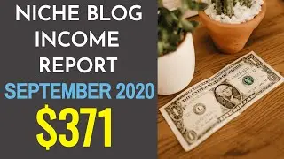 Earned $371 in September | Micro Niche Blog Income Report | Niche Website Earnings Report - Sep 2020