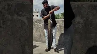7 kilo ka Maral, full fight diya boss! 💪🎣 #DesiFishing #MonsterCatch #FishingIndia&rdquo; #fish #fishing