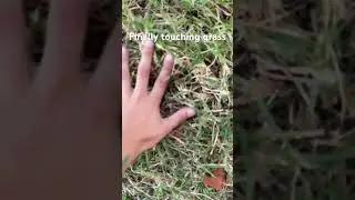 Touching grass for the first time