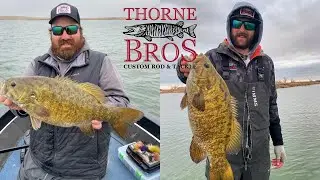 Top 5 Spring Smallmouth Baits w/ Eric Klaers and Stuart Maes