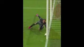 Impossible Goal Line Saves