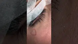 The latest Bottom lash technique