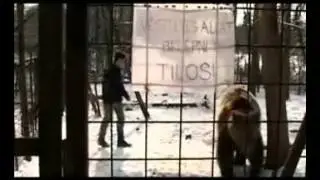 Egy átlagos nap Gödöllőn - farkas, medve, és a többiek
