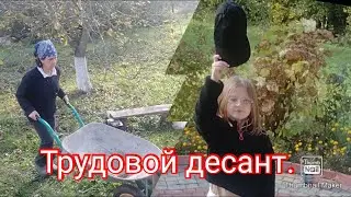 Ничего не успеваю.Трудовой десант в помощь.#дача #теплица #огород
