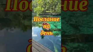 Благословенного дня #иисус #исцеление #молитва #доброеутро #shorts #jesus #love #foryou #prayer