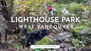 Exploring Lighthouse Park in West Vancouver: A Peaceful Walk Through Nature