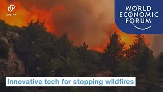 Fighting wildfire with 4 innovative tech inventions | UpLink