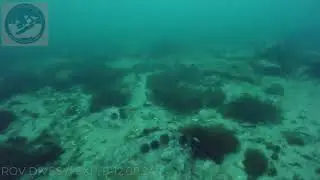 Shipwreck search in Westfjords Iceland 2024