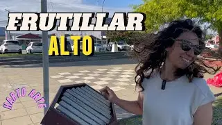 FRUTILLAR ALTO ,  SUR DE CHILE ,