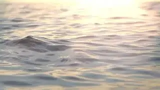 Water Element Mini Meditation | Emotional Release, Flow & Renewal