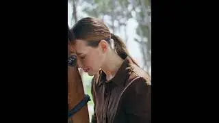 &ldquo;Loyal as the Wind &ndash; A Tribute to My Faithful Horse | Western Country Song
