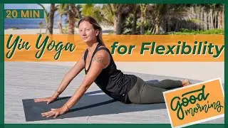 Morning Yoga Stretch | All levels yin yoga for flexibility