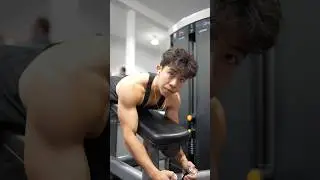 Lying Hamstring Curls vs Seated Hamstring Curls