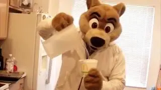 I had a Great Time in the Trash - By I've made too much pasta (Music video)