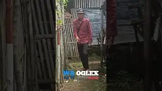 hati hati mas licin
