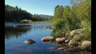 Celebration Music With Nature| Finding Joy In Nature | Relax And Enjoy | Instrumental Music