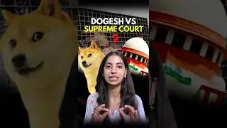 Supreme Court&rsquo;s Big Verdict on Stray Dogs | Public Safety vs Animal Rights