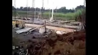 Social Business Poultry Farm Update