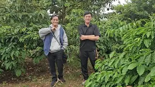Vườn sầu nhà Y Garp