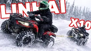 LINHAI A RUPT NORMA PE MUNTE! Partea 1