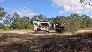 Clearing Cedar : RV Storage Vlog2