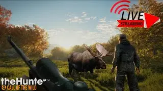 🔴 The Hunter Call Of The Wild - Attempt At My Black Bear Great One Again (Bad Idea) Part 2 - LIVE