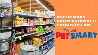 Veterinary Professional Answers: What Pets Can You Get at PetSmart?