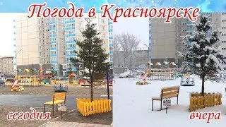 #погода #глобальноепотепление Снег растаял!  /У ПРИРОДЫ НЕТ ПЛОХОЙ ПОГОДЫ