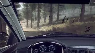 Dirt Rally 2.0 - WORLD RECORD - Old Butterstone Muir (Wet) - Subaru Impreza 1995